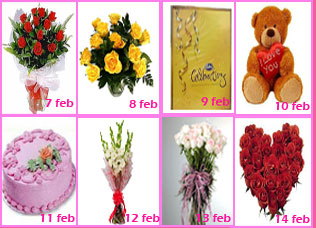 Valentine Week Gift Rose Day to Valentine